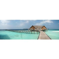 Dolores Flowers - Wooden Hut on Tropical Bridge