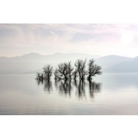 Josh Zdeslav - The Lone Trees