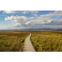 Alan Tully - Celtic Afternoon