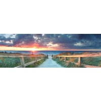 Joseph Sohm - Beach Path - Grassy