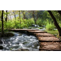 Renée Pehr - Forest River With Walkway I