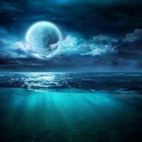 Liza Narayan - Full Moon - Beach View