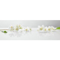 Omar Olavie - White Flowers
