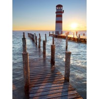 Finch Love - Lighthouse At Lake Neusiedl, Austria II