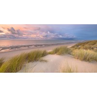 Luis Bond - Beach Dune