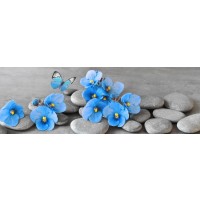 Omar Olavie - Zen Stones With Blue Flowers and Butterfly