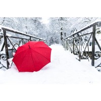Dylis Bevan - Winter - Red Umbrella Lost In The Snow
