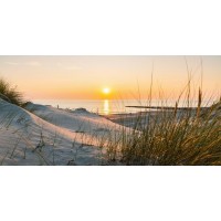 Luis Bond - Beach Dunes and Sea Oats