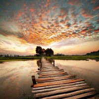 Roderick Nichols - Wooden Landing Jetty - Beach Dawn