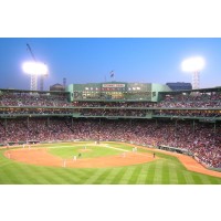 Lessandre Collection - Baseball - Field
