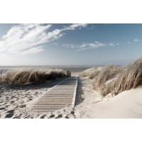 Joseph Sohm - Beach Path I