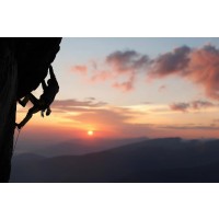 Leslie Walters - Sports Silhouettes - Climbing II
