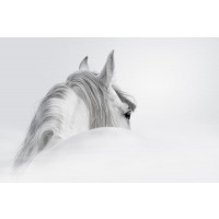 Horse - Losing Your Mind