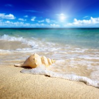 Ann Gavril - Tropical Beach In Thailand III