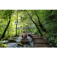 Renée Pehr - Forest Waterfall With Buddha