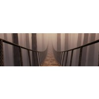Frank Morse - Rope Bridge - Misty Day