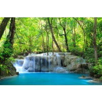 Renée Pehr - Forest Waterfall II