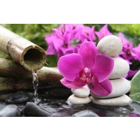 Omar Olavie - Water Source With Orchids