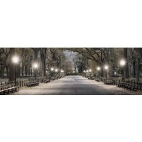 New York - Central Park - Night Out