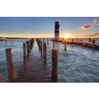 Finch Love - Lighthouse At Lake Neusiedl, Austria II