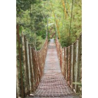 Frank Morse - Rope Bridge - Rusty