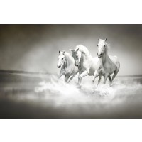 Running Horses - Black and White