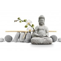 Darija Mile - Buddha in Meditation With Orchids II