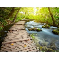 Renée Pehr - Forest River With Walkway III
