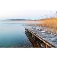 Roderick Nichols - Wooden Landing Jetty - Foggy Afternoon