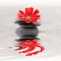Omar Olavie - Red Frangipani on the Shore