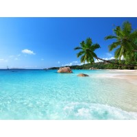 Ann Gavril - Tropical Beach In Thailand II