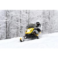 Lessandre Collection - Snowmobile - On My Way II