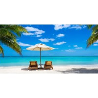 Beach Chairs with Umbrella