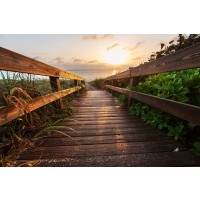 Roderick Nichols - Wooden Walkway - Into Summer