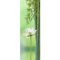 Tsunoi Masu - Bamboo Flower