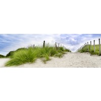 Lidia Maine - White Sandy Beach IV