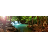 Renée Pehr - Forest Waterfall II