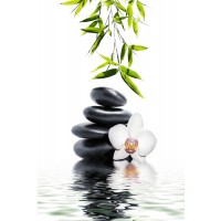 Omar Olavie - White Orchid with Black Stones