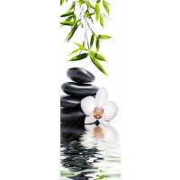 Omar Olavie - White Orchid with Black Stones