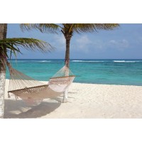 Anna McCormick - White Hammock on the Beach I