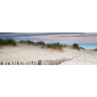 Luis Bond - Path to the Beach - Dune