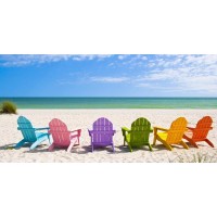 Dolores Flowers - Beach - Rainbow Chairs