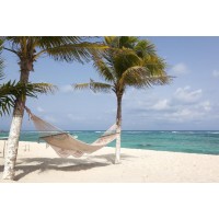 Anna McCormick - White Hammock on the Beach II