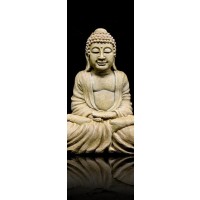 Darija Mile - White Buddha in the Dark