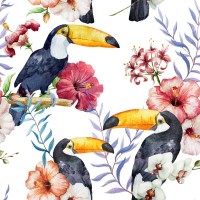 Tropical Tucans and Flowers