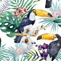 Tropical Tucans and Flowers