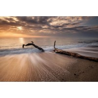 Doreen Sharp - Beach - Piece of Wood Sunset