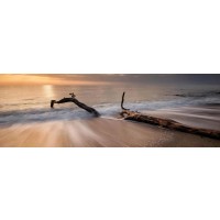 Doreen Sharp - Beach - Piece of Wood Sunset