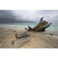 Beach Landscape Storm Sky