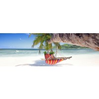 Anna McCormick - Traditional Hammock on the Beach